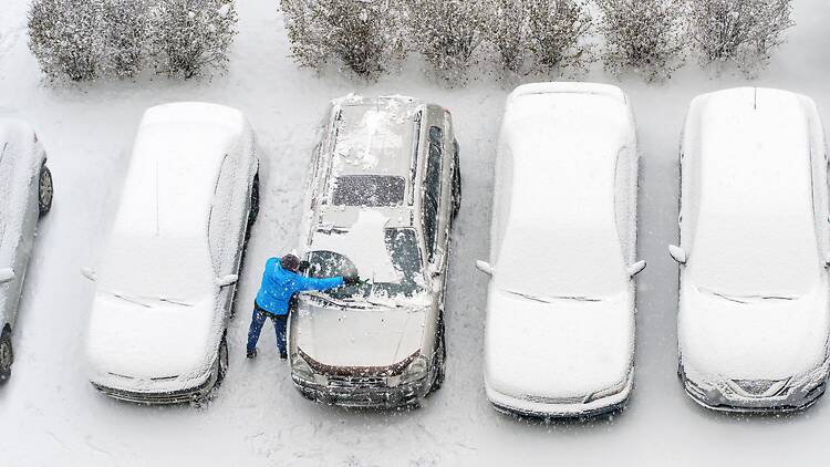 Montreal bracing for 10 cm of snow in the next 24 hours