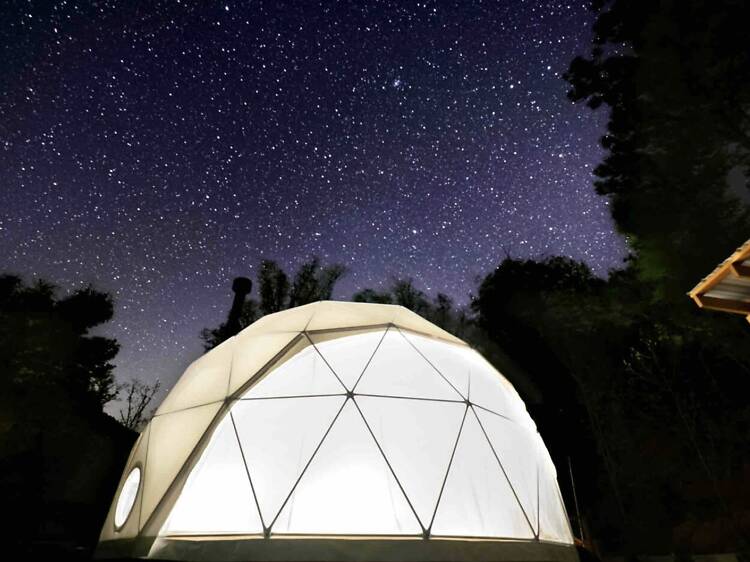 Smoky Mtn Glamping Dome