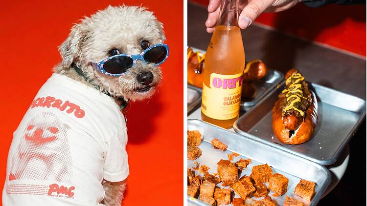 Perrritos Muy Calientes