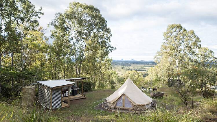 Glamping in bush