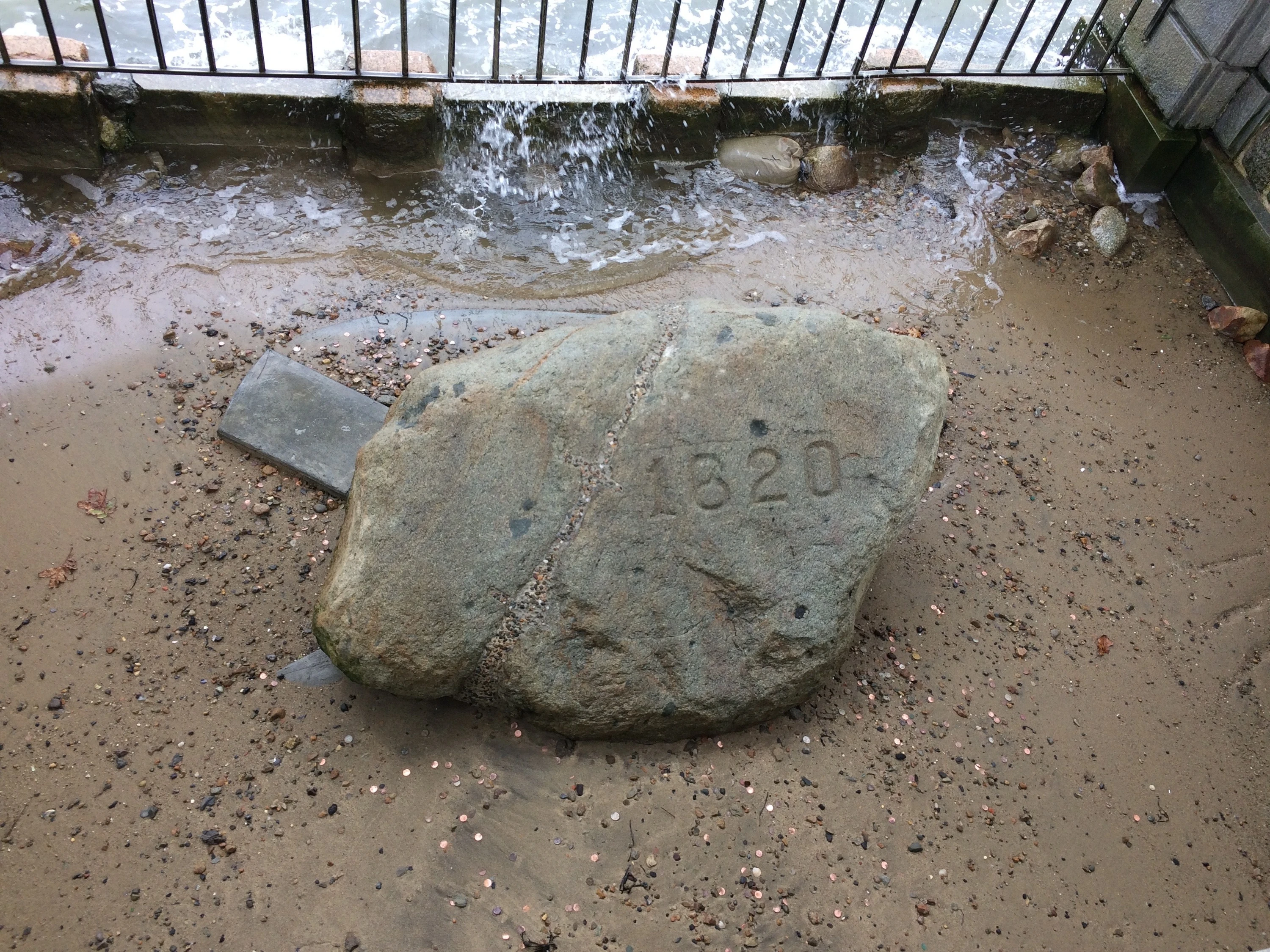 Plymouth Rock