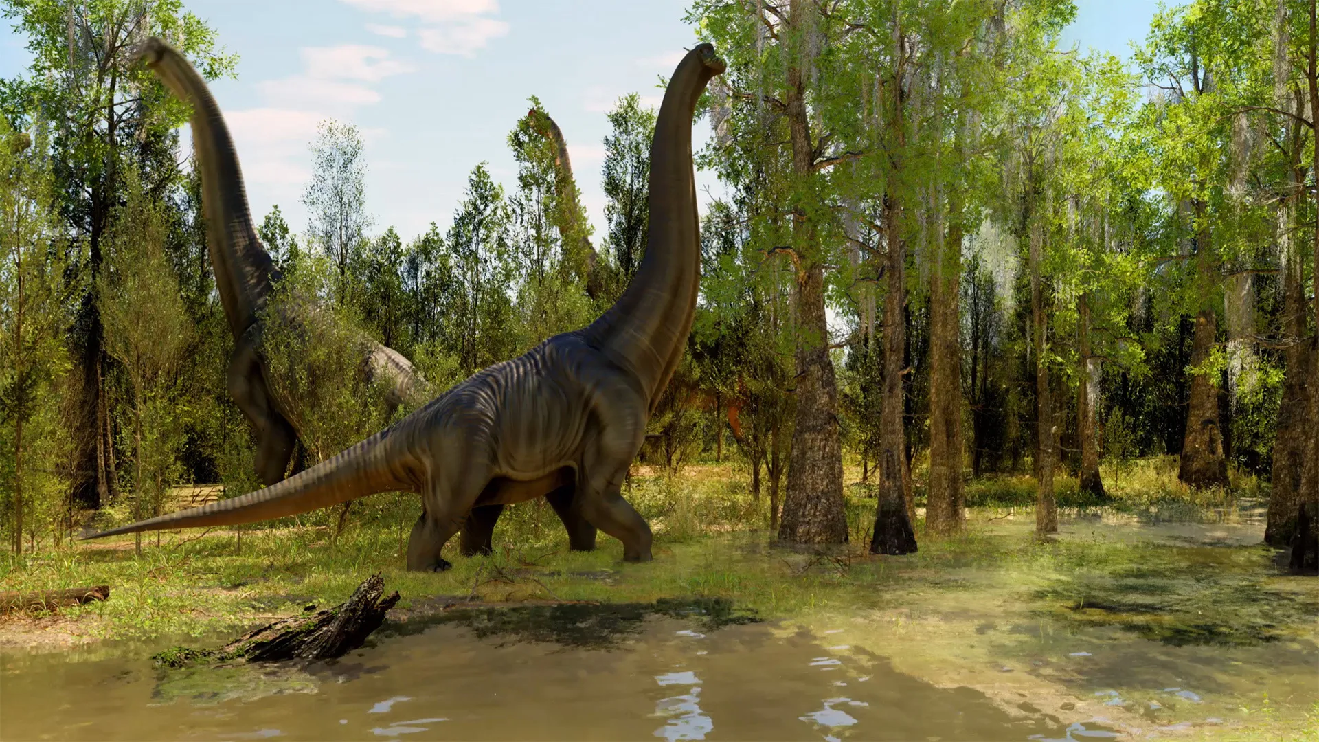 Dinoverse: viaje a la era de los dinosaurios. Nomad Museo