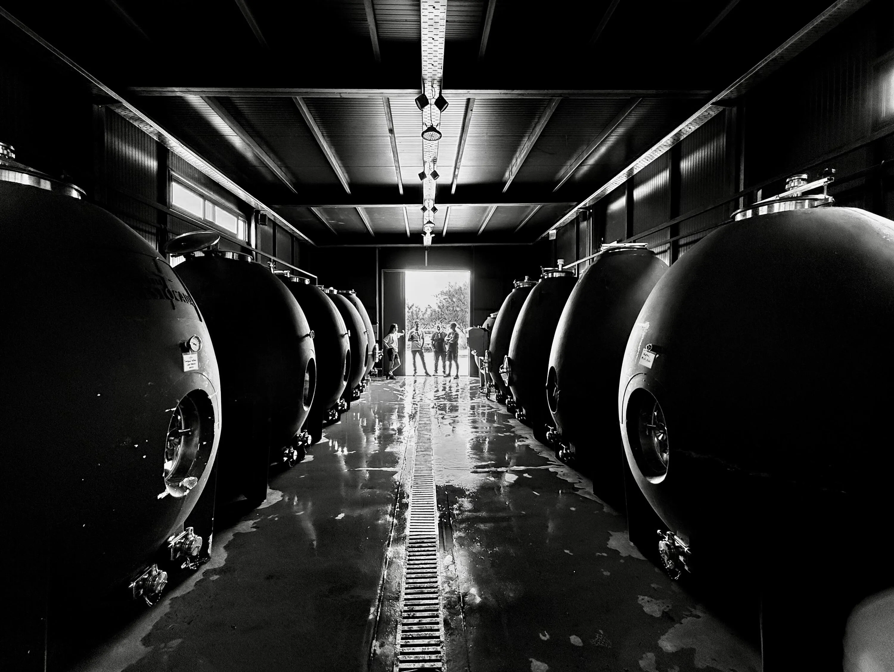 mat&iacute;as-michelini