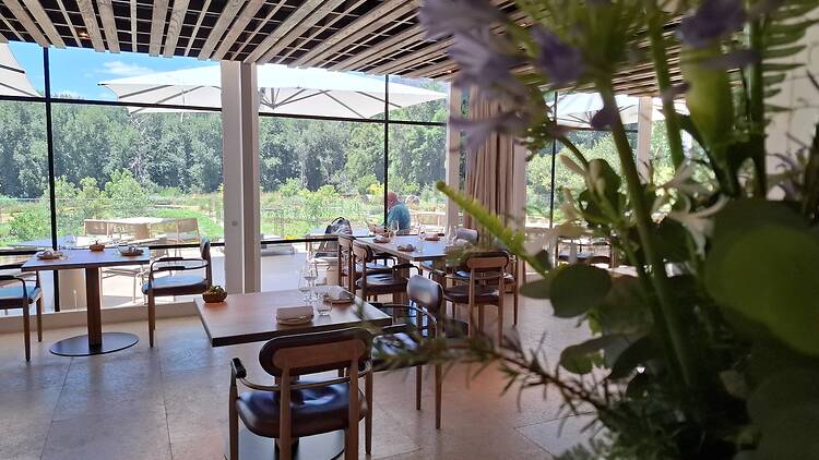 Arum restaurant, Boschendal