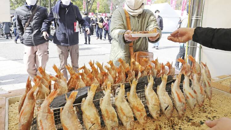 魚ジャパンフェス 魚ジャパンフェス