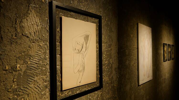 Helena Rodrigues Galeria