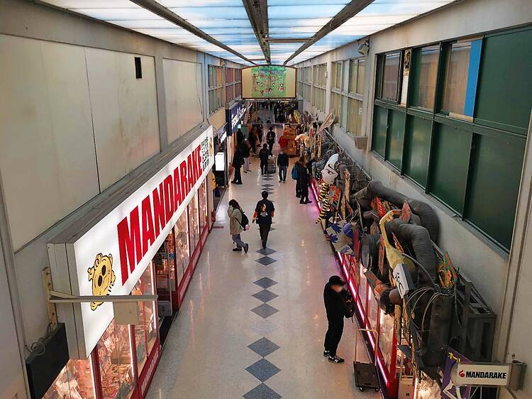 The alternative: Nakano Broadway