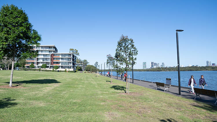 trees and grass along a coastal path