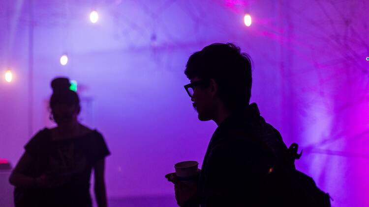 DTLB Art+Design Walk