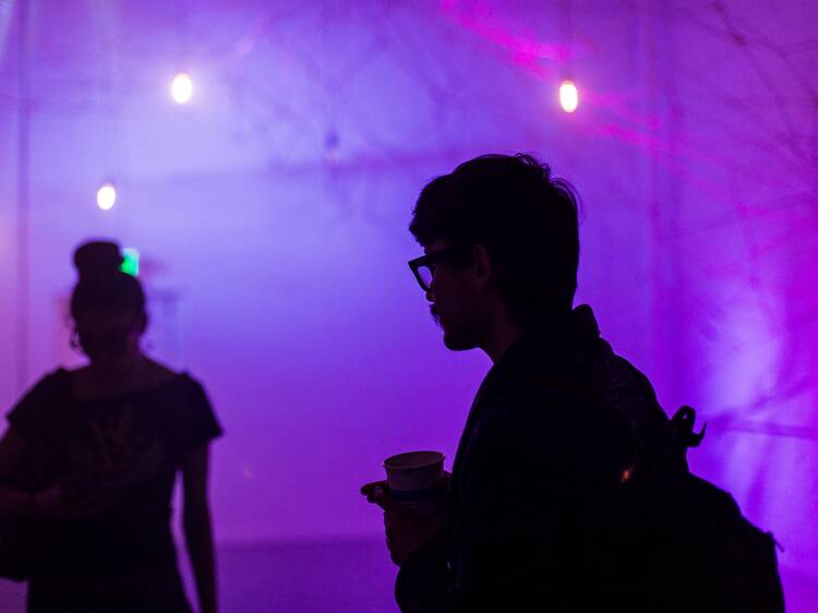 DTLB Art+Design Walk