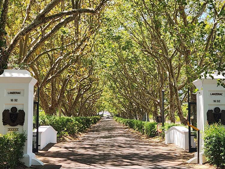 Find yourself steeped in history at Lanzerac Wine Estate Find yourself steeped in history at Lanzerac Wine Estate