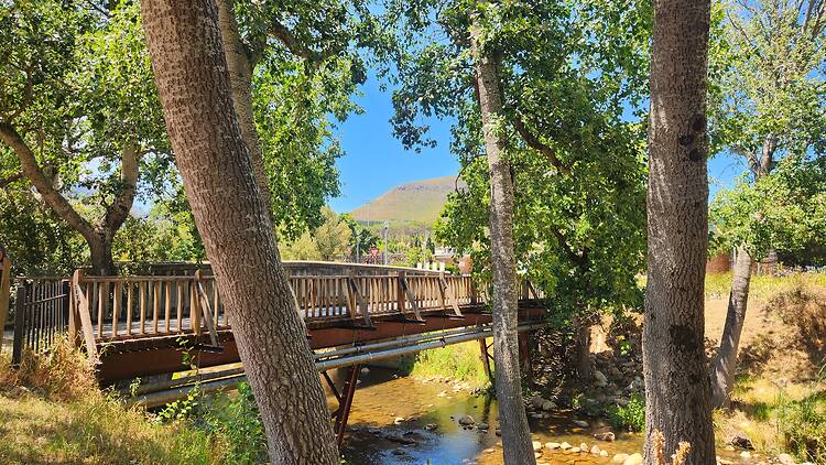 Spot the students smooching on a walk along the Eerste River and through Die Laan Spot the students smooching on a walk along the Eerste River and through Die Laan