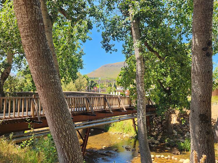 Spot the students smooching on a walk along the Eerste River and through Die Laan Spot the students smooching on a walk along the Eerste River and through Die Laan