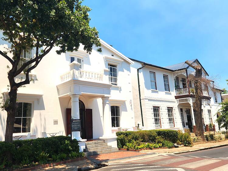 Take a stroll down Dorp Street with its oak trees and leivore Take a stroll down Dorp Street with its oak trees and leivoreÂ