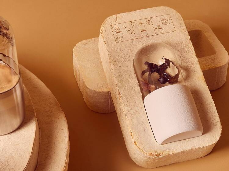 A space-age fungarium from Bewilder