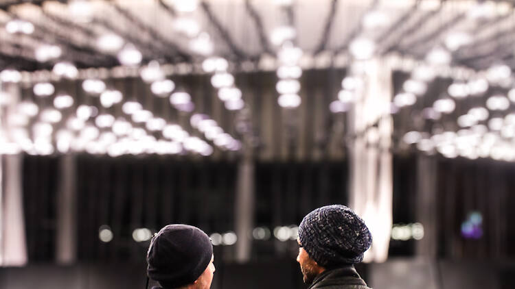 Rafael Lozano-Hemmer: Jardín inconcluso