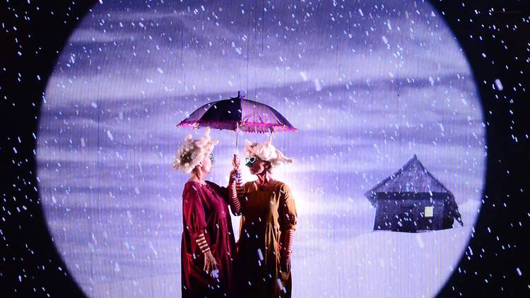 Pato, patito (Conde Duque).