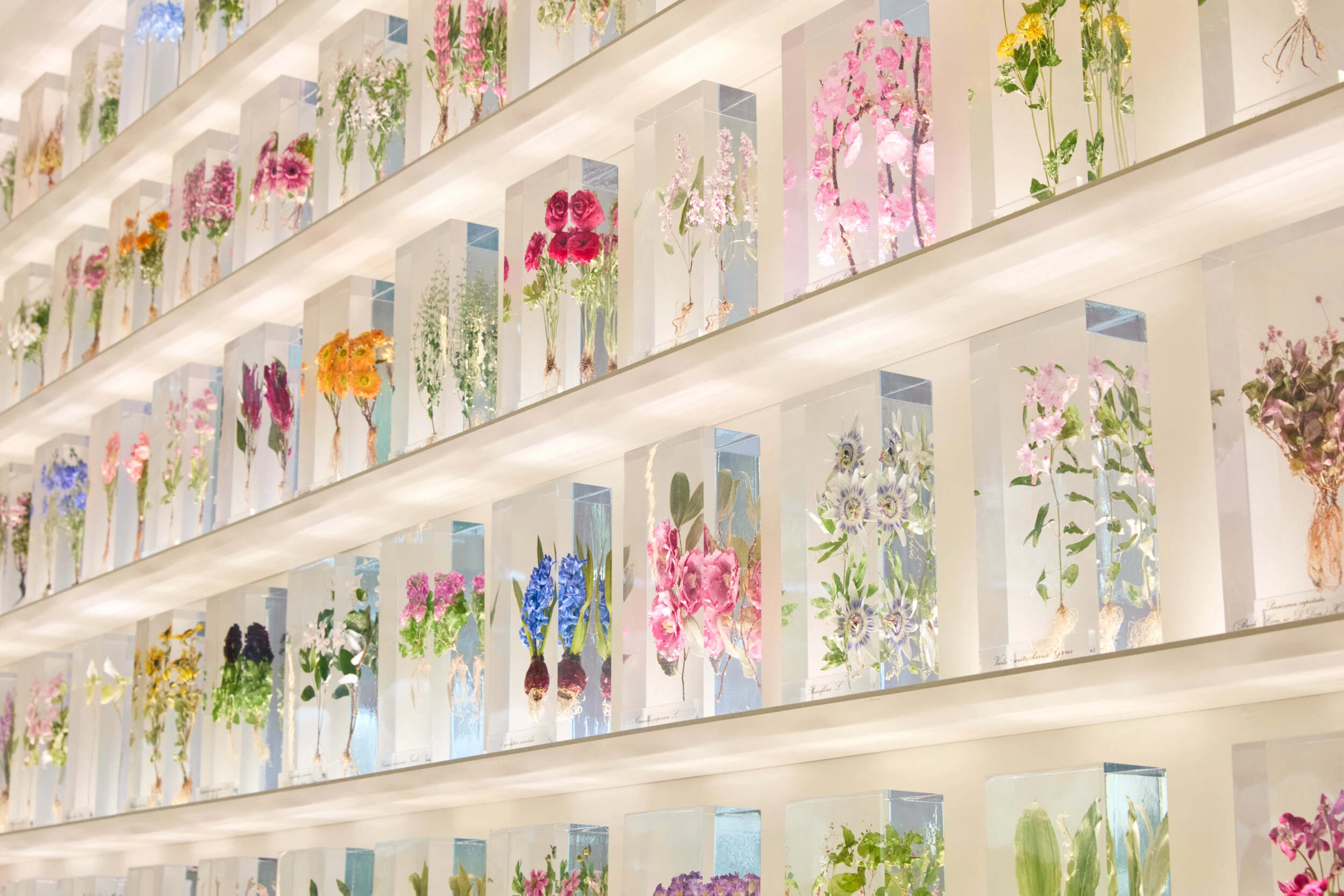 ディオール バンブー パビリオン