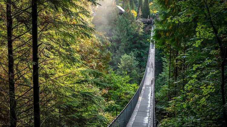 Capilano Suspension Bridge Capilano Suspension Bridge
