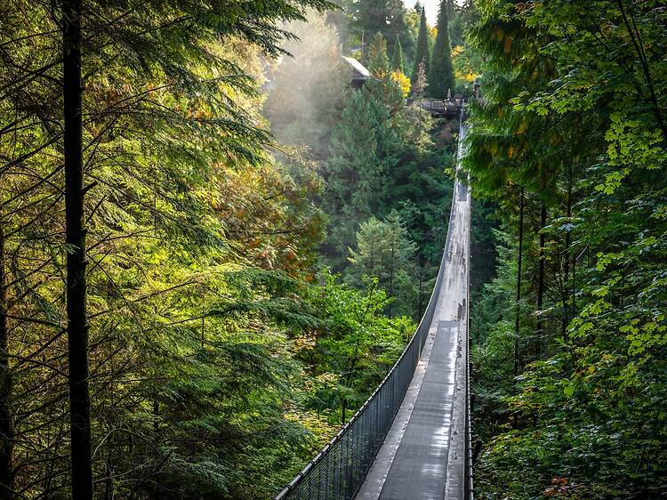 Capilano Suspension Bridge Capilano Suspension Bridge