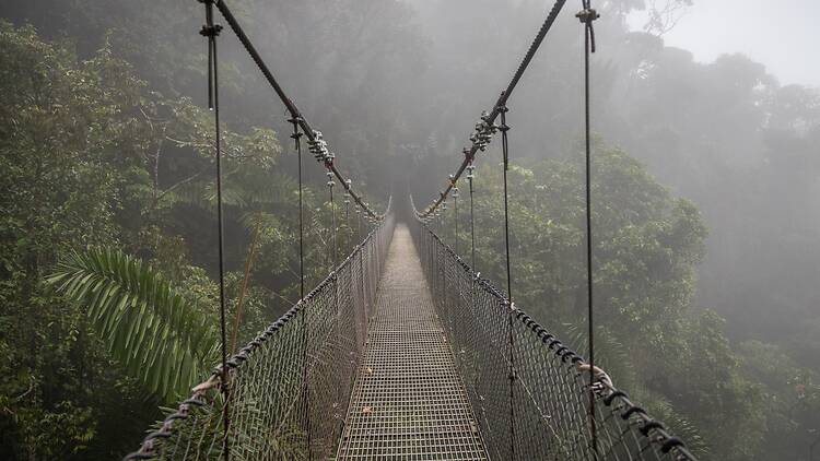 Mistico Park’s Hanging Bridges Mistico Park’s Hanging Bridges