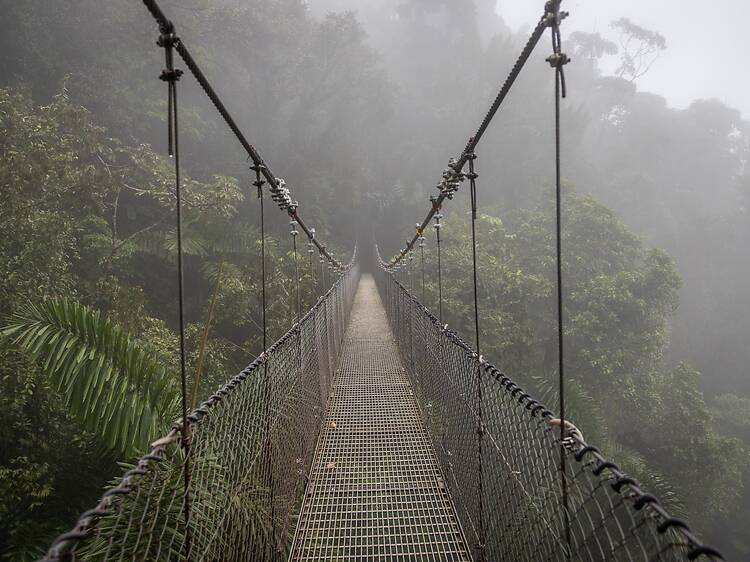 Mistico Park’s Hanging Bridges Mistico Park’s Hanging Bridges