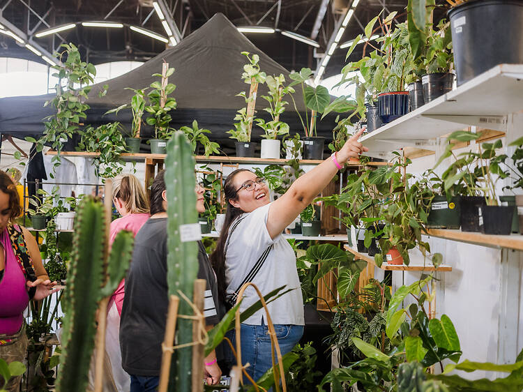 PlantCon Los Angeles PlantCon Los Angeles