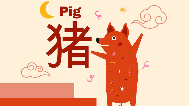 Pig zodiac signs