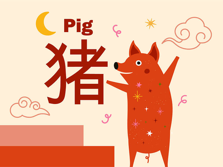 Pig zodiac signs