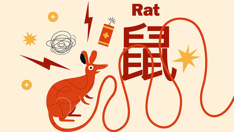Rat zodiac signs