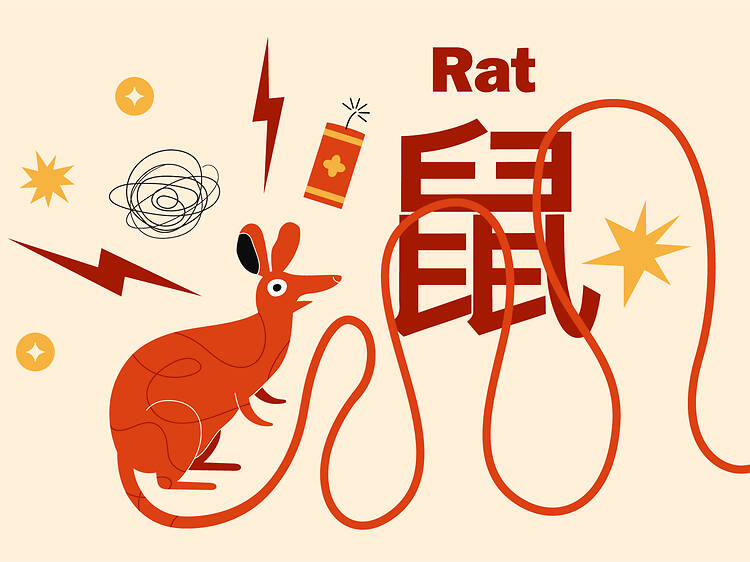 Rat zodiac signs