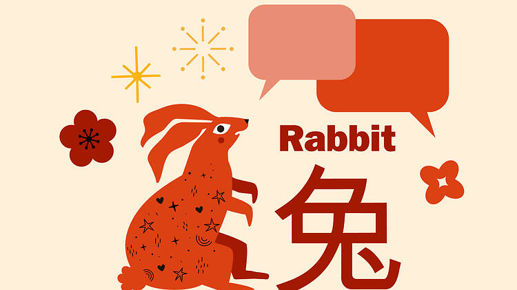 Rabbit zodiac signs
