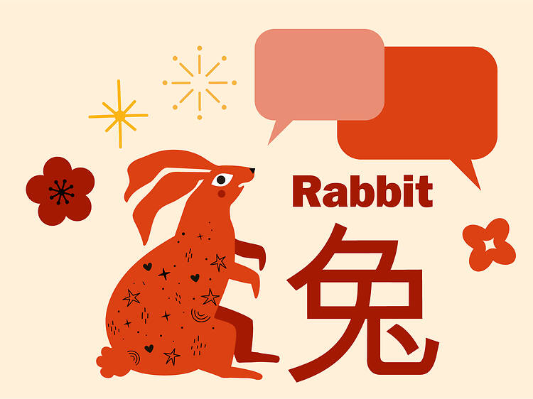 Rabbit zodiac signs