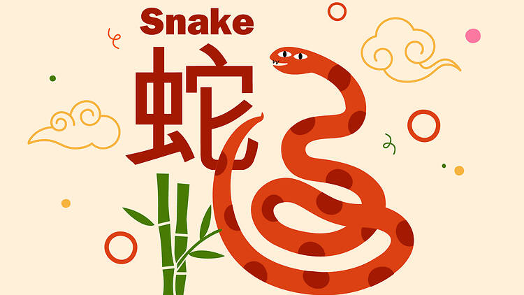 Snake zodiac signs