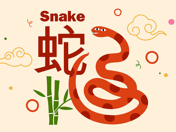 Snake zodiac signs