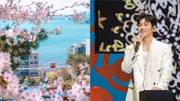 (Left) Busan (Right) Ji Chang Wook