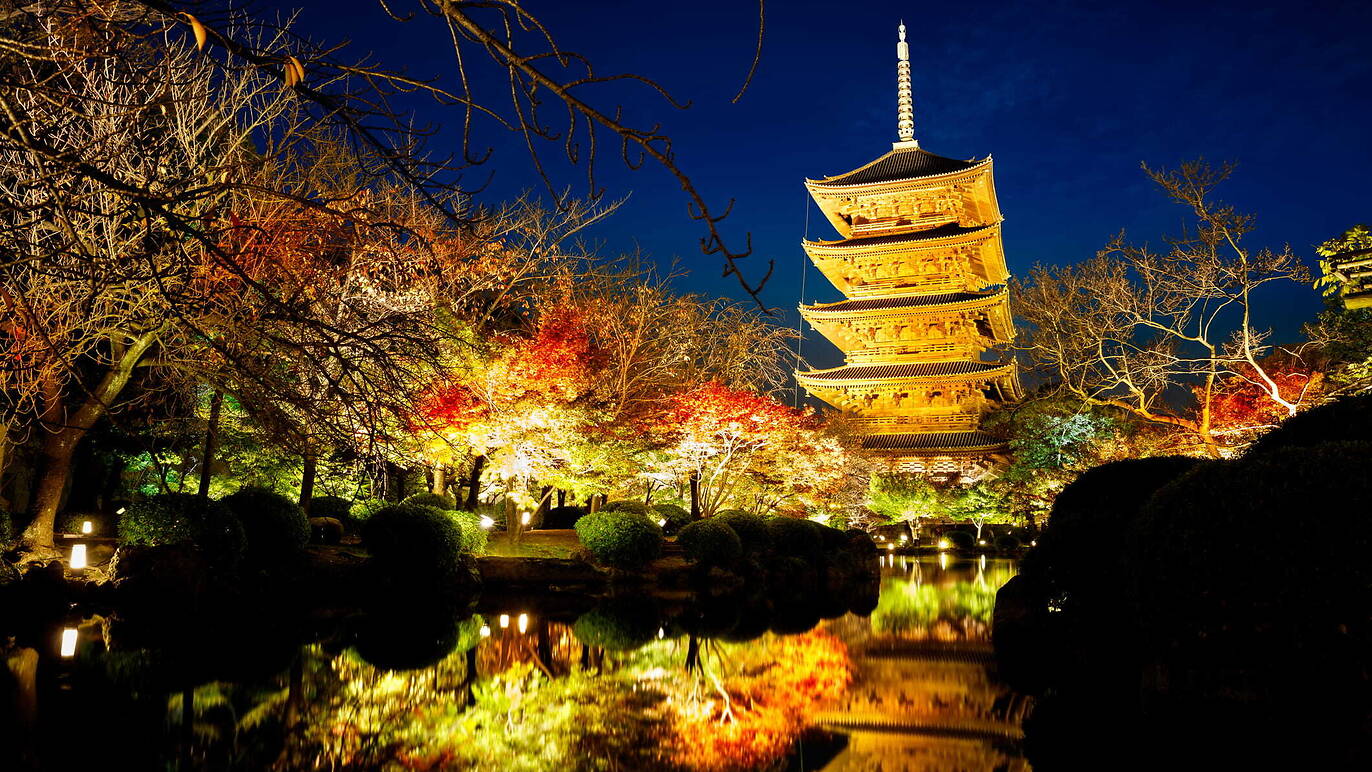 toji-japanese-garden-light-up-things-to-do-in-osaka
