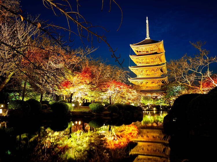Toji Japanese Garden Light-up