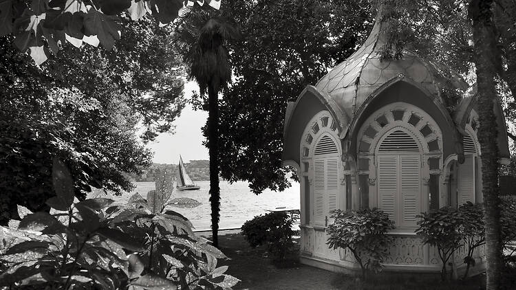 Annette Louise Solakoğlu, Rooted: The Garden Within Annette Louise Solakoğlu, Rooted: The Garden Within