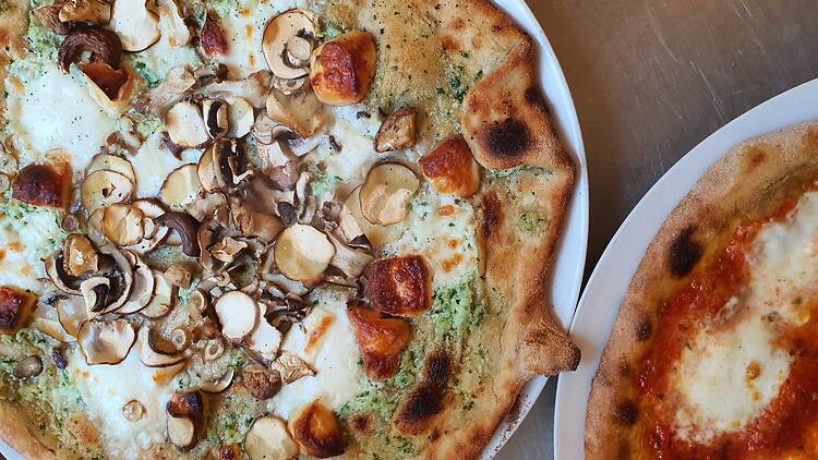 Acid Lactic Acid Lactic