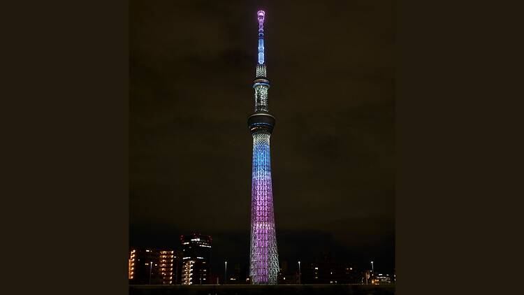 The Sakura Skytree 2026 The Sakura Skytree 2026