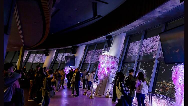 The Sakura Skytree 2026 The Sakura Skytree 2026