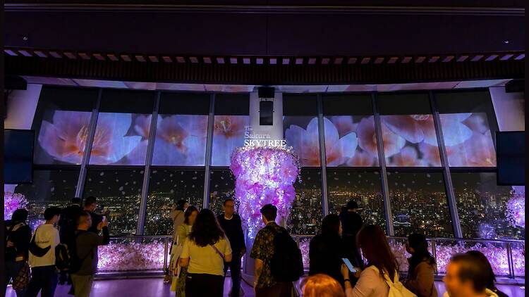 The Sakura Skytree 2026 The Sakura Skytree 2026