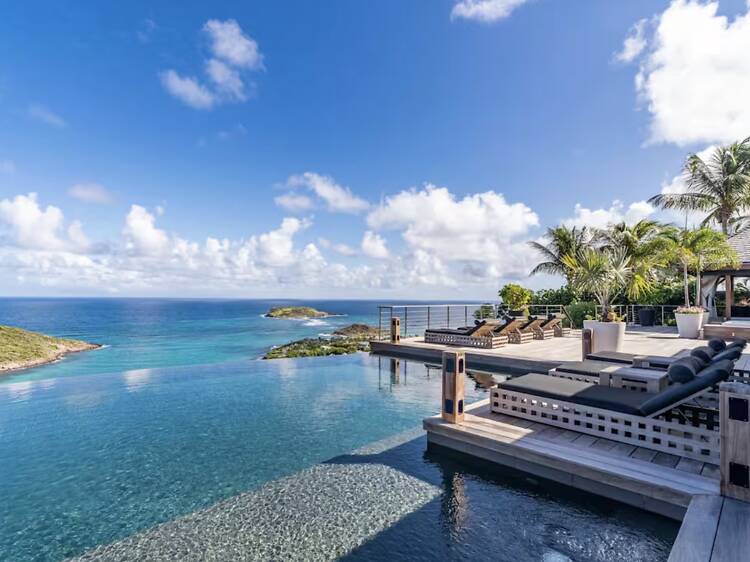 The Tropical Retreat: Designer Garden Suite The Tropical Retreat: Designer Garden Suite