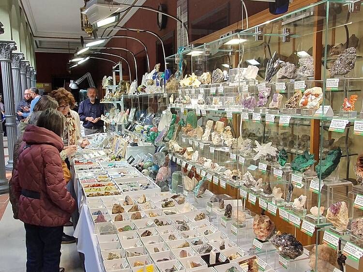 Así es la curiosa feria donde podréis encontrar fósiles, meteoritos y los minerales más bonitos Así es la curiosa feria donde podréis encontrar fósiles, meteoritos y los minerales más bonitos