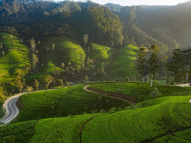 This tropical island paradise has officially launched a brand new digital nomad visa