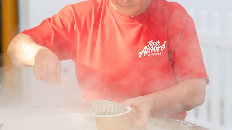 Ricotta Festival That's Amore person serving food at Ricotta Festival That's Amore