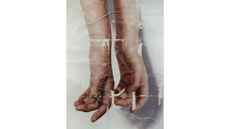 document / skin document / skin