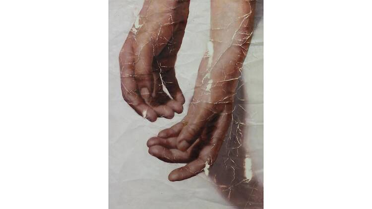 document / skin document / skin