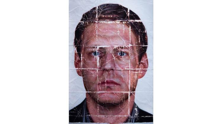 document / skin document / skin